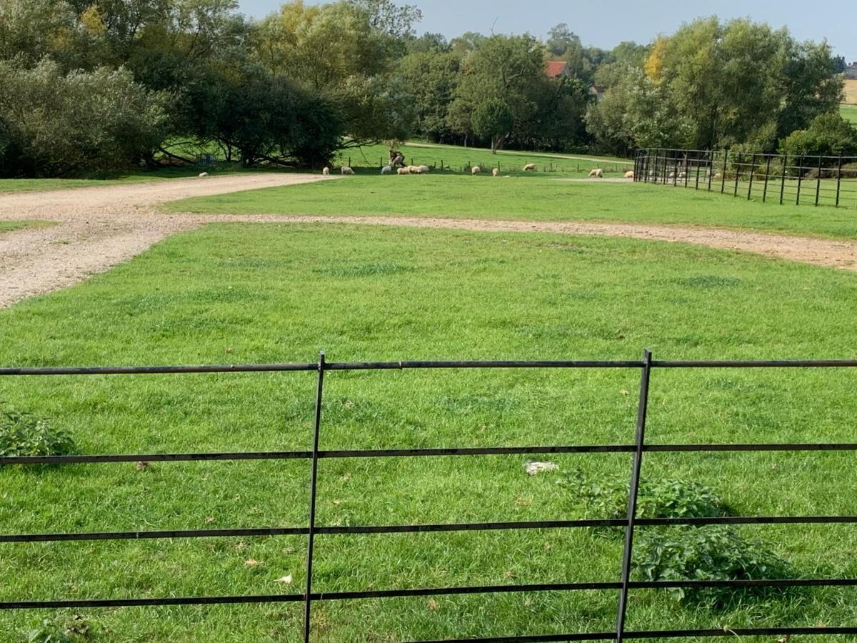 הוילה בקינגהאם Weatherhead Farm Shepherds Hut מראה חיצוני תמונה