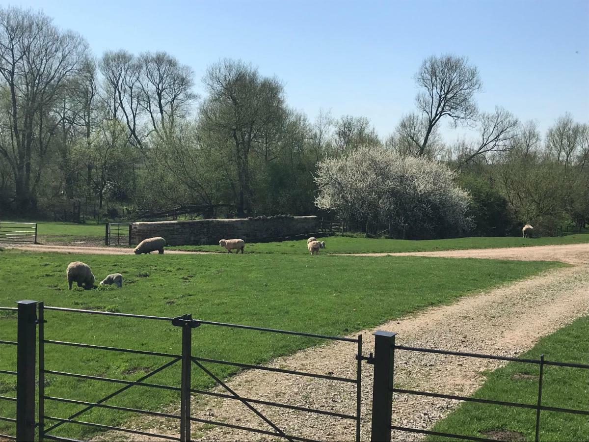 הוילה בקינגהאם Weatherhead Farm Shepherds Hut מראה חיצוני תמונה